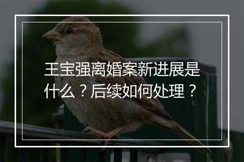 王宝强离婚案新进展是什么?后续如何处理?