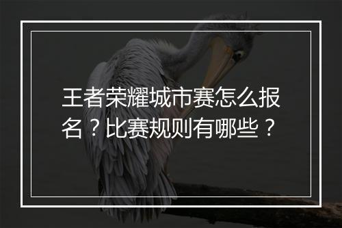 王者荣耀城市赛怎么报名?比赛规则有哪些?
