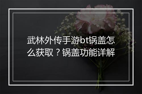 武林外传手游bt锅盖怎么获取？锅盖功能详解