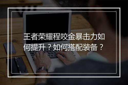 王者荣耀程咬金暴击力如何提升？如何搭配装备？