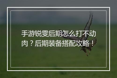 手游锐雯后期怎么打不动肉？后期装备搭配攻略！