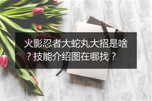 火影忍者大蛇丸大招是啥？技能介绍图在哪找？