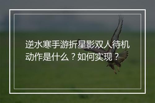 逆水寒手游折星影双人待机动作是什么？如何实现？