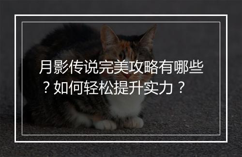 月影传说完美攻略有哪些?如何轻松提升实力?