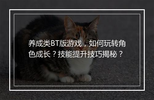 养成类BT版游戏，如何玩转角色成长？技能提升技巧揭秘？