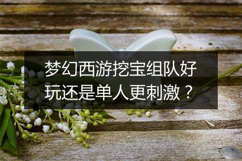 梦幻西游挖宝组队好玩还是单人更刺激？
