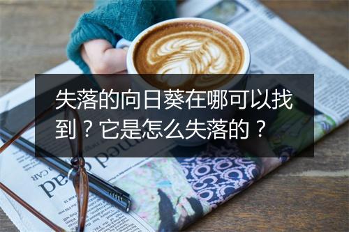 失落的向日葵在哪可以找到?它是怎么失落的?