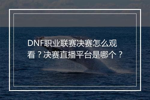 DNF职业联赛决赛怎么观看？决赛直播平台是哪个？