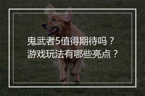 鬼武者5值得期待吗?游戏玩法有哪些亮点?
