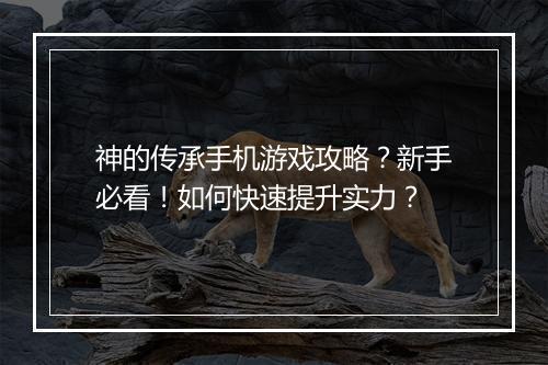 神的传承手机游戏攻略？新手必看！如何快速提升实力？