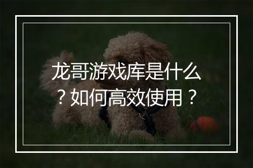 龙哥游戏库是什么?如何高效使用?