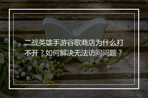 二战英雄手游谷歌商店为什么打不开？如何解决无法访问问题？