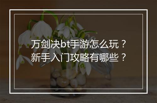 万剑决bt手游怎么玩?新手入门攻略有哪些?