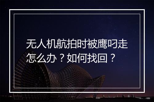 无人机航拍时被鹰叼走怎么办？如何找回？