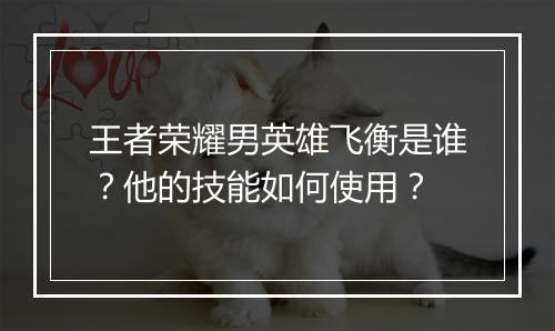 王者荣耀男英雄飞衡是谁？他的技能如何使用？