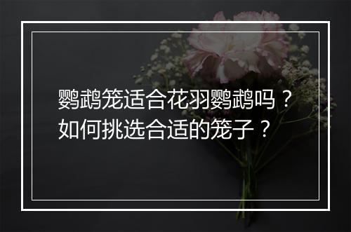 鹦鹉笼适合花羽鹦鹉吗？如何挑选合适的笼子？
