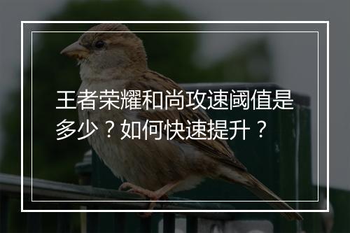 王者荣耀和尚攻速阈值是多少？如何快速提升？