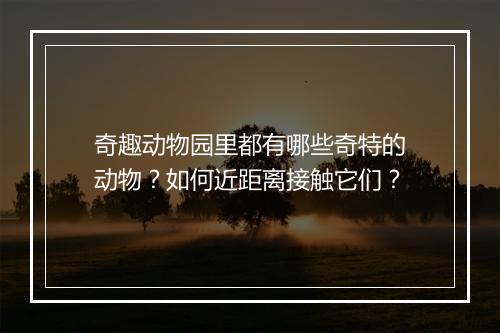 奇趣动物园里都有哪些奇特的动物?如何近距离接触它们?