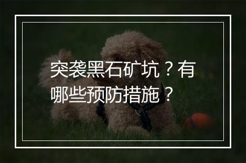 突袭黑石矿坑?有哪些预防措施?