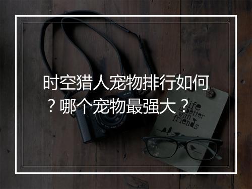 时空猎人宠物排行如何？哪个宠物最强大？