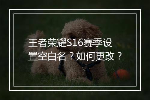 王者荣耀S16赛季设置空白名？如何更改？