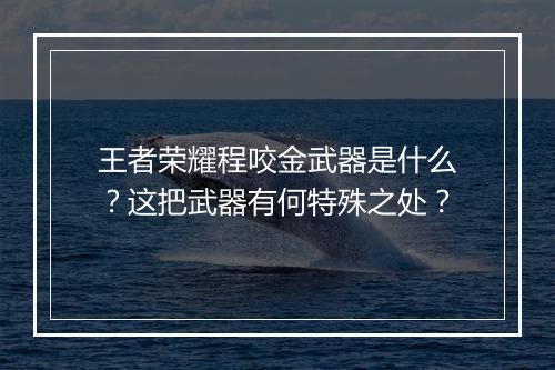 王者荣耀程咬金武器是什么？这把武器有何特殊之处？