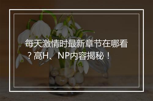每天激情时最新章节在哪看?高H、NP内容揭秘!