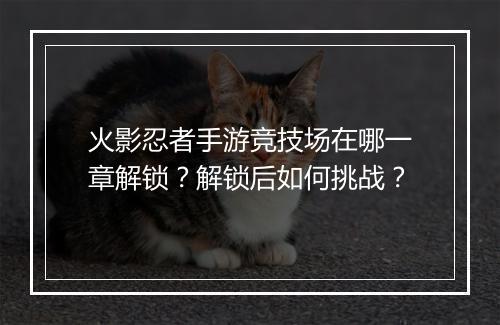 火影忍者手游竞技场在哪一章解锁？解锁后如何挑战？