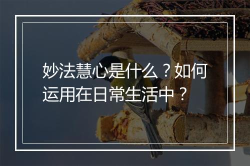 妙法慧心是什么？如何运用在日常生活中？