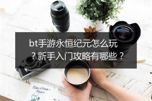 bt手游永恒纪元怎么玩?新手入门攻略有哪些?