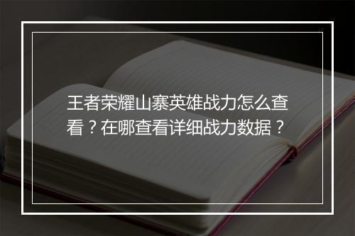 王者荣耀山寨英雄战力怎么查看？在哪查看详细战力数据？
