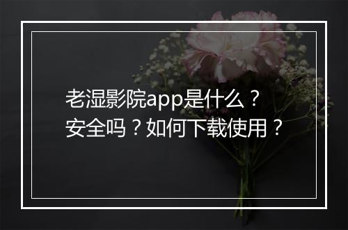 老湿影院app是什么？安全吗？如何下载使用？