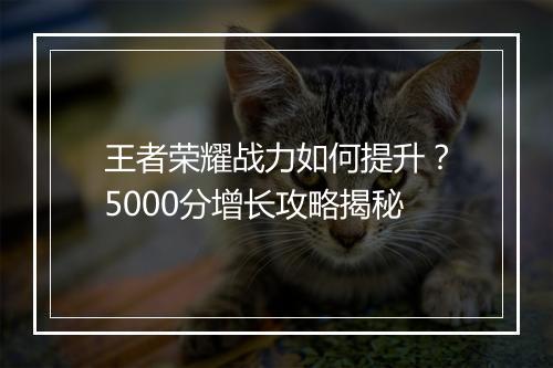 王者荣耀战力如何提升？5000分增长攻略揭秘