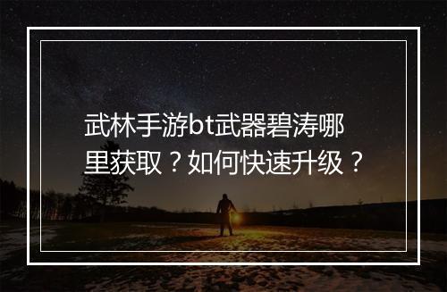 武林手游bt武器碧涛哪里获取？如何快速升级？