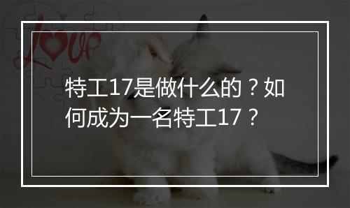 特工17是做什么的？如何成为一名特工17？