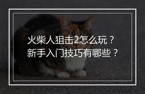 火柴人狙击2怎么玩?新手入门技巧有哪些?