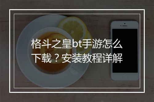 格斗之皇bt手游怎么下载？安装教程详解