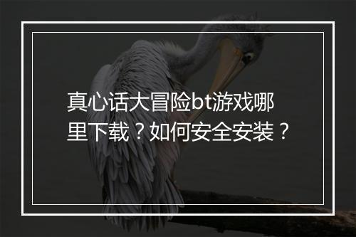 真心话大冒险bt游戏哪里下载？如何安全安装？
