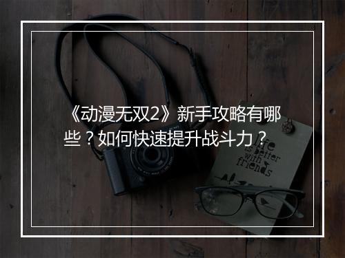 《动漫无双2》新手攻略有哪些？如何快速提升战斗力？