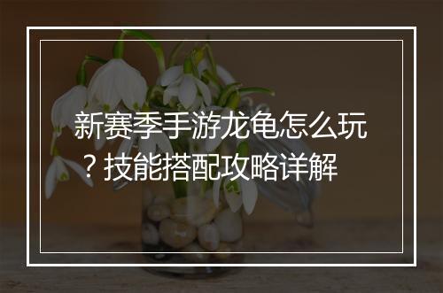 新赛季手游龙龟怎么玩？技能搭配攻略详解