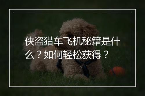 侠盗猎车飞机秘籍是什么?如何轻松获得?