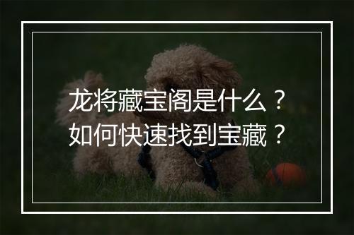 龙将藏宝阁是什么？如何快速找到宝藏？