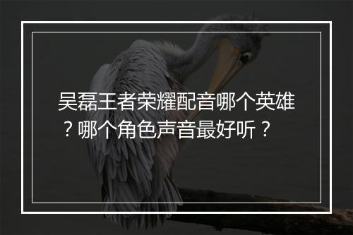 吴磊王者荣耀配音哪个英雄？哪个角色声音最好听？