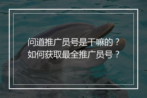 问道推广员号是干嘛的?如何获取最全推广员号?