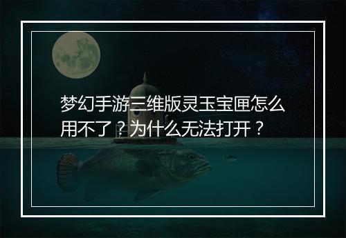 梦幻手游三维版灵玉宝匣怎么用不了？为什么无法打开？