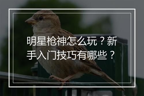 明星枪神怎么玩？新手入门技巧有哪些？
