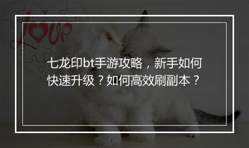 七龙印bt手游攻略,新手如何快速升级?如何高效刷副本?