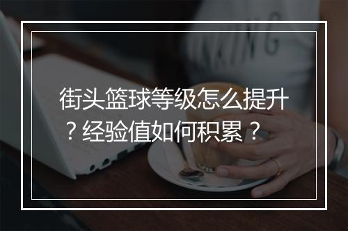 街头篮球等级怎么提升?经验值如何积累?