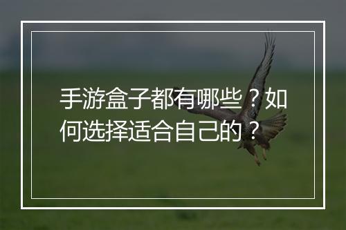 手游盒子都有哪些？如何选择适合自己的？