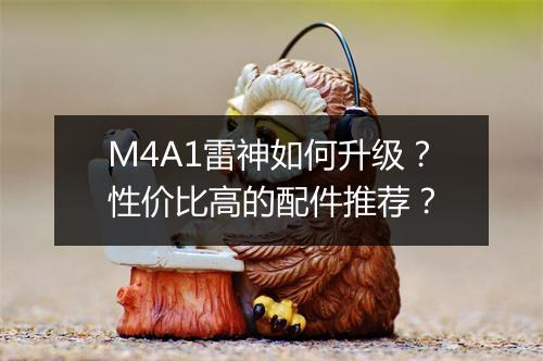 M4A1雷神如何升级？性价比高的配件推荐？